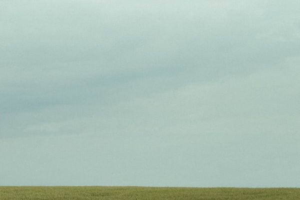Wide open natural landscape with a horizon.